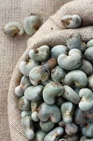Raw cashew nuts in burlap sack