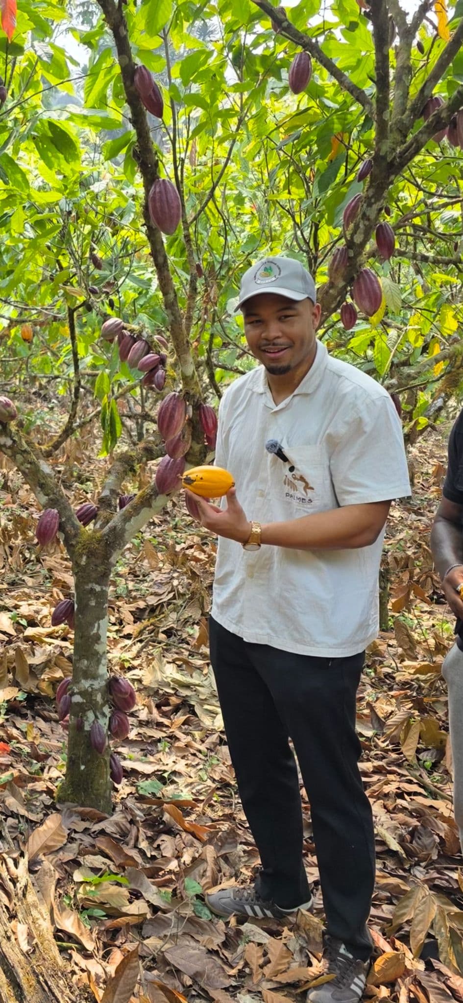 Farm activity 2
